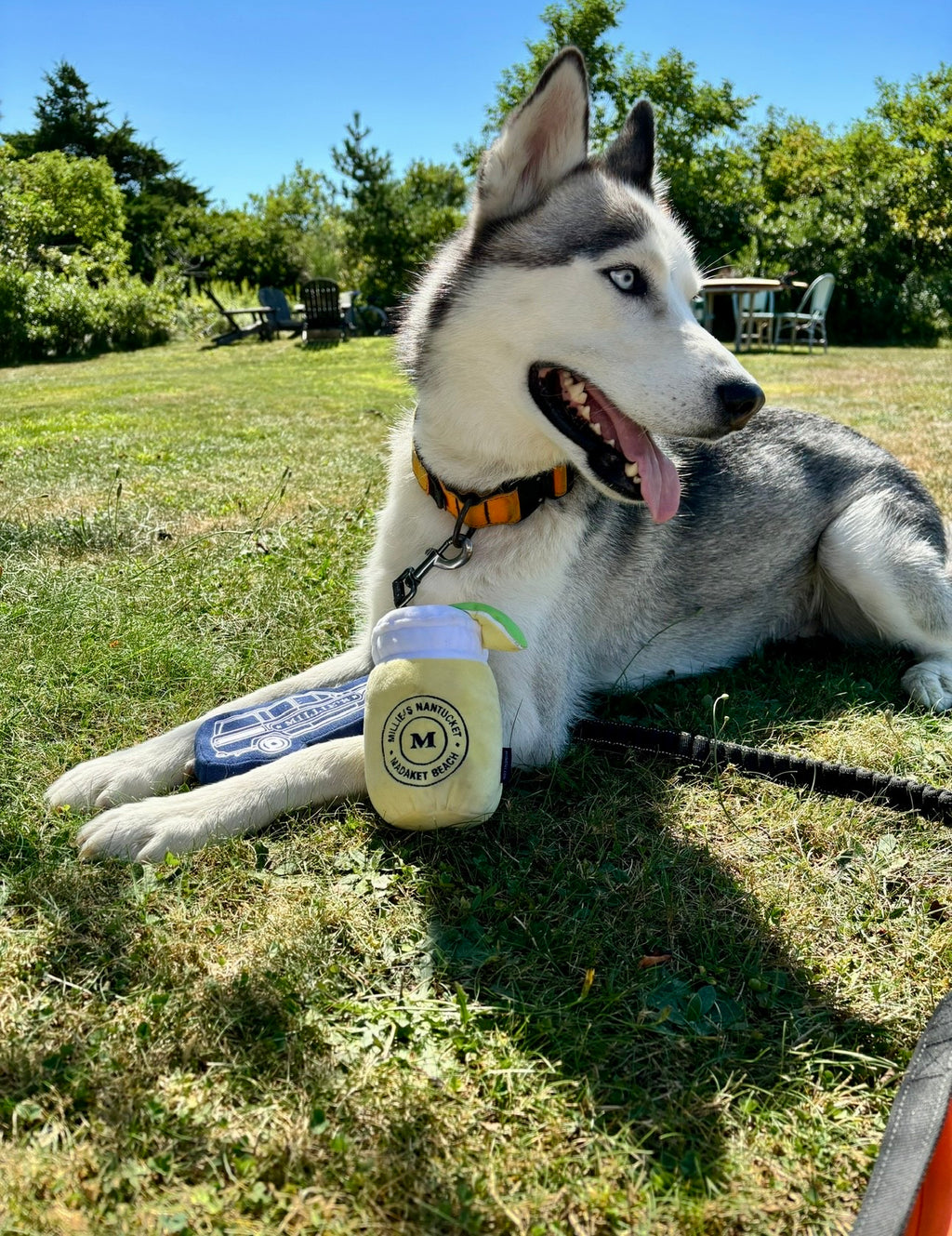 Millie's Margarita Dog Toy