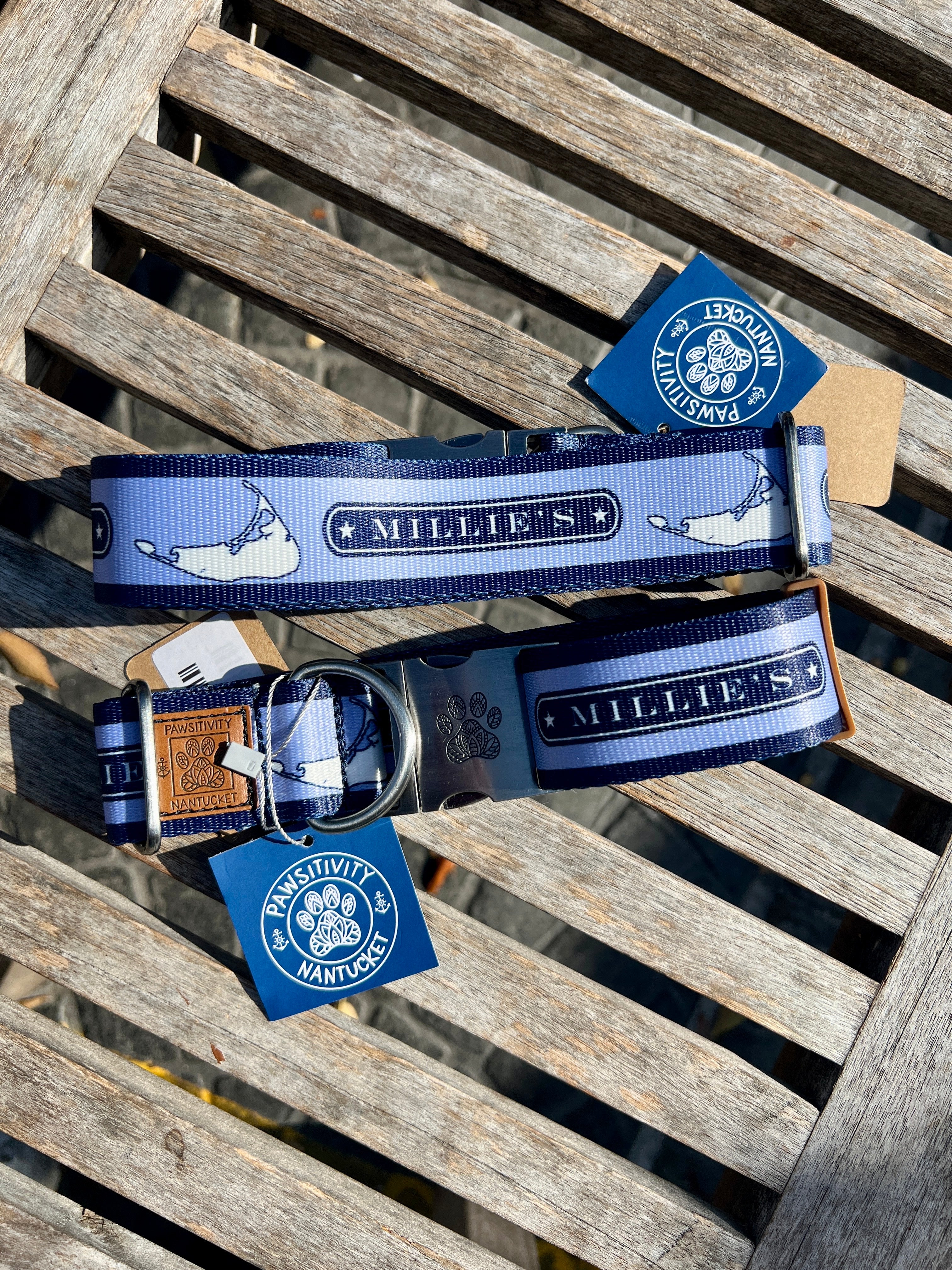 Millie's x Pawsitivity Quarterboard Dog Collar