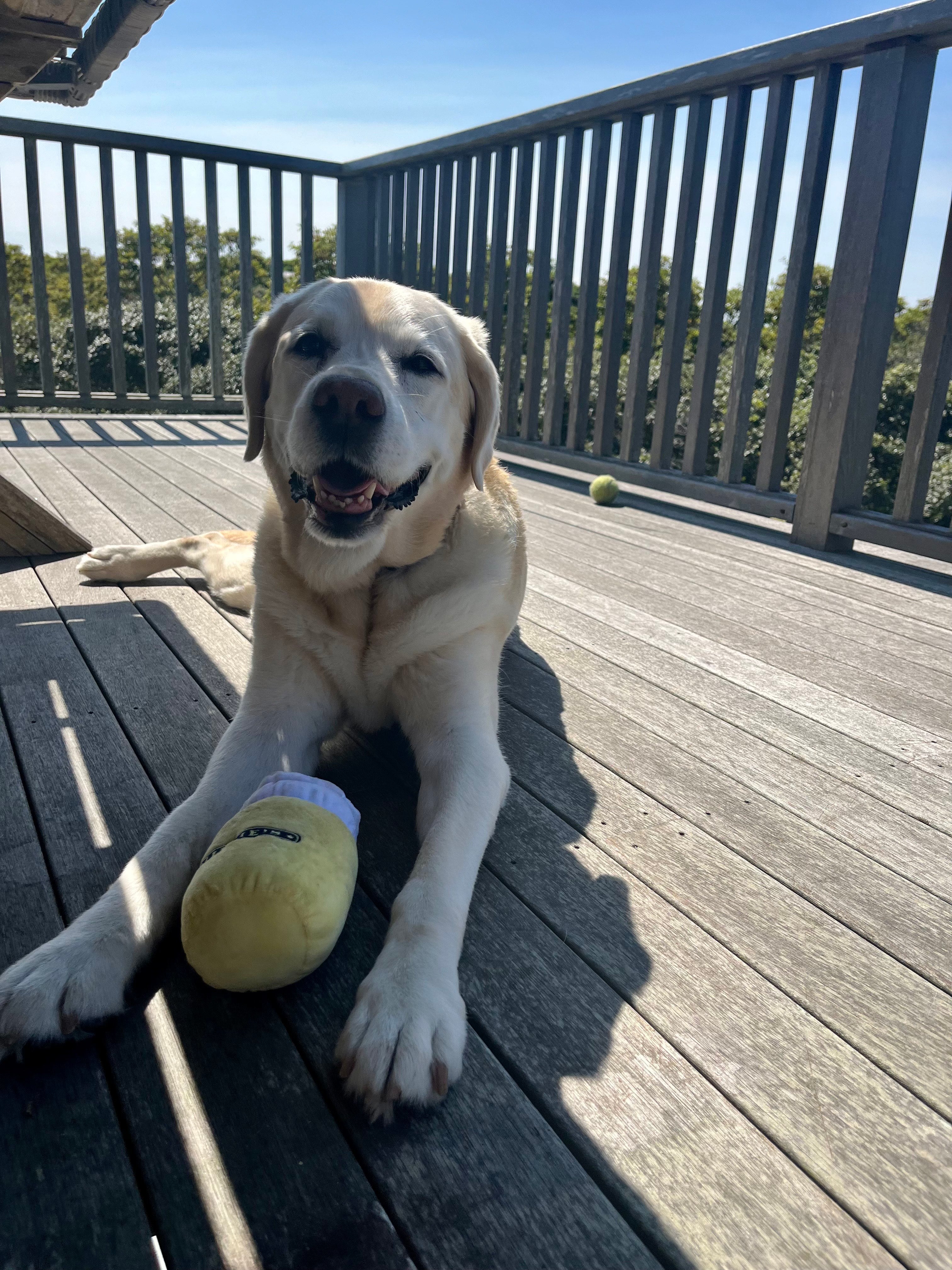 Millie's Margarita Dog Toy