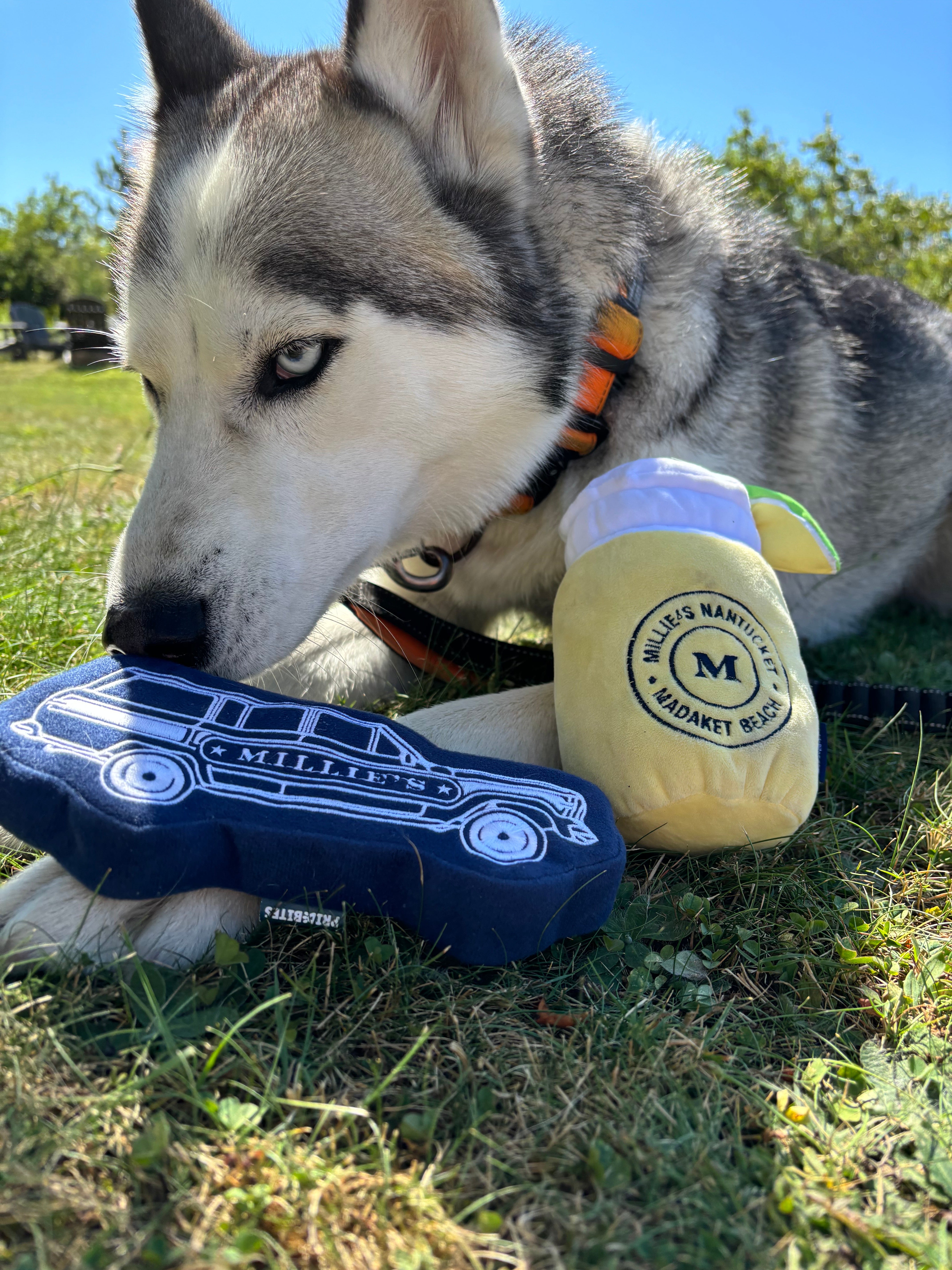 Millie's Margarita Dog Toy