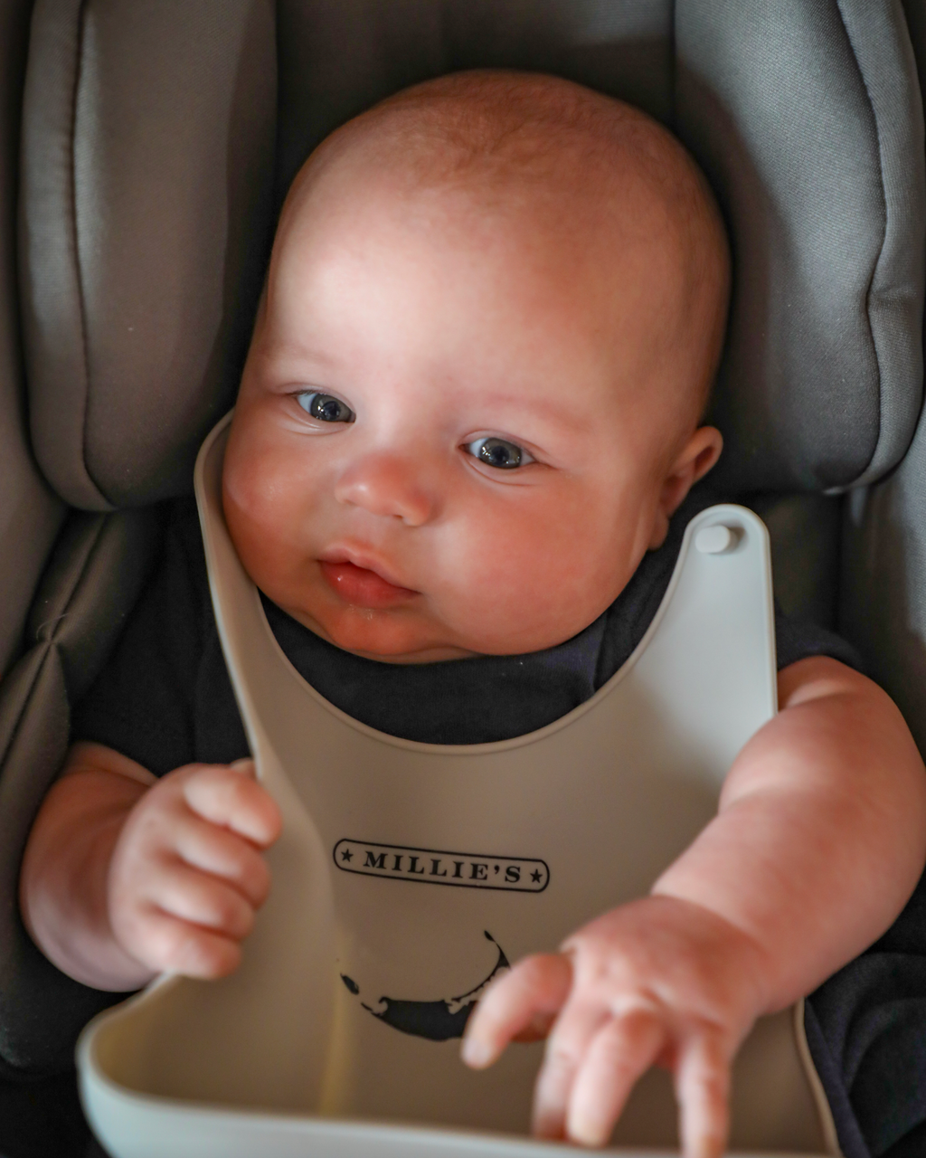 Millie's Baby Bib